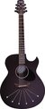 Babicz Spider Dreadnought Cutaway Mahogany (black matt)