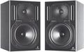 Truth B2030A Pair (Active)