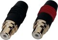 Contrik NF2CTF/2 Cavo Rca