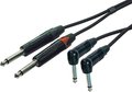 NPKPPRX2-SIAM-10 (10m)