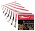 EJ17 Phosphor Bronze, Medium