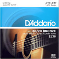 D'Addario EJ36 12-String