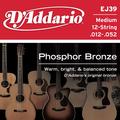 D'Addario EJ39 12-String