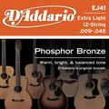 D'Addario EJ41 12-String
