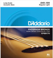 D'Addario EPBB170 Acoustic Bass (45-100) Jogo de 4-Cordas para Baixo Acústico