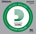 D'Addario NW 026