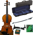 Ecoviolin Strad Set / Two Piece Back (incl. case, bow, strings, shoulder-rest, rosin) Violine Set