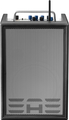 Elite Acoustics A4-8 MKII / Portable Acoustic Amp (carbon fiber black)