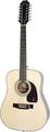 Songmaker DR-212 (Natural/ 12-String)