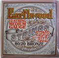 Ernie Ball 2012 Earthwood 12 String Medium