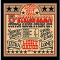 Ernie Ball 2312 5-String Banjo Light