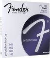 Fender 7060 Acoustic Bass Strings (45-.100)