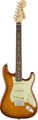 Fender American Performer Stratocaster RW (honey burst) E-Gitarren ST-Modelle