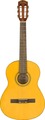 Fender ESC 80 / W
