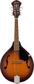 Fender PM-180E Mandolin (aged cognac burst, w/ bag) Mandolinas con pastilla