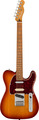 Fender Player Plus Nashville Telecaster PF (sienna sunburst) E-Gitarren T-Modelle
