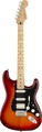 Fender Player Stratocaster HSS Plus Top MN (aged cherry burst) E-Gitarren ST-Modelle