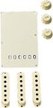 Fender Stratocaster Accessory Kit (Aged White)