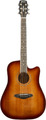 Framus FD 14 M Dreadnought with Cutaway & Presys II EQ (vintage sunburst, transparent high polish)