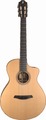 Furch GNc2-CW (with LR Baggs EAS VTC NYLON) Classical Guitars with Pickup