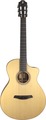 Furch GNc2-SW (with LR Baggs EAS VTC NYLON) Guitarras clásicas con pastilla