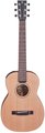 Furch LIttle Jane 10 CM Traveller Akustikgitarren