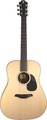 Furch Violet D-SY (with LR Baggs StagePro Element) Acoustic Guitars with Pickup