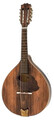 Gewa Mandola Pro Arte (antique)