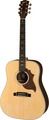 Gibson Hummingbird Sustainable 2019 (antique natural)
