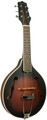 Gold Tone A-6 Mando-Guitar (incl. bag) Mandolins