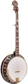 Gold Tone BG-150F Bluegrass Banjo with Flange (incl. case) Banjos