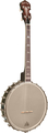Gold Tone IT-250 Irish Tenor Banjo (vintage brown / fishman rare earth pickup)