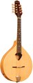 Gold Tone Mandola Traditional Irish Mandola