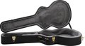 G6241FT Hollowbody