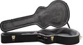 Gretsch G6241FT Hollowbody Electric Guitar Cases