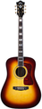 Guild F-55E (antique burst - with LR Baggs Pickup)