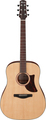 Ibanez AAD100-OPN (Open Pore Natural)