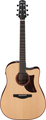 Ibanez AAD300CE-LGS (Natural Low Gloss)
