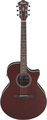 Ibanez AE100-BUF (burgundy flat)