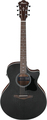 Ibanez AE140-WKH (weathered black open pore top)