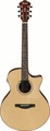 Ibanez AE275-LGS (natural low gloss)