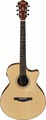 Ibanez AE275BT-LGS (natural low gloss)