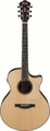 Ibanez AE325-LGS (natural low gloss)