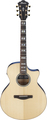 Ibanez AE390-NTA (natural high gloss top, aqua blue back / sides)