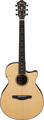 Ibanez AEG200-LGS (natural low gloss) Westerngitarre mit Cutaway, ohne Tonabnehmer