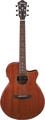 Ibanez AEG220-LGS (natural low gloss) Westerngitarre mit Cutaway, ohne Tonabnehmer