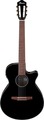 Ibanez AEG50N-BKH (black high gloss) Guitares classiques avec micro