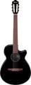 Ibanez AEG50N-BKH (black high gloss)