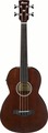 Ibanez AVNB1FE (brown violin semi-gloss) 4-String Acoustic Basses