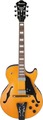 Ibanez GB10EM-AA (antique amber) Guitares électriques Archtop Jazz